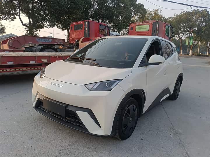 Фото 2 - BYD Seagull