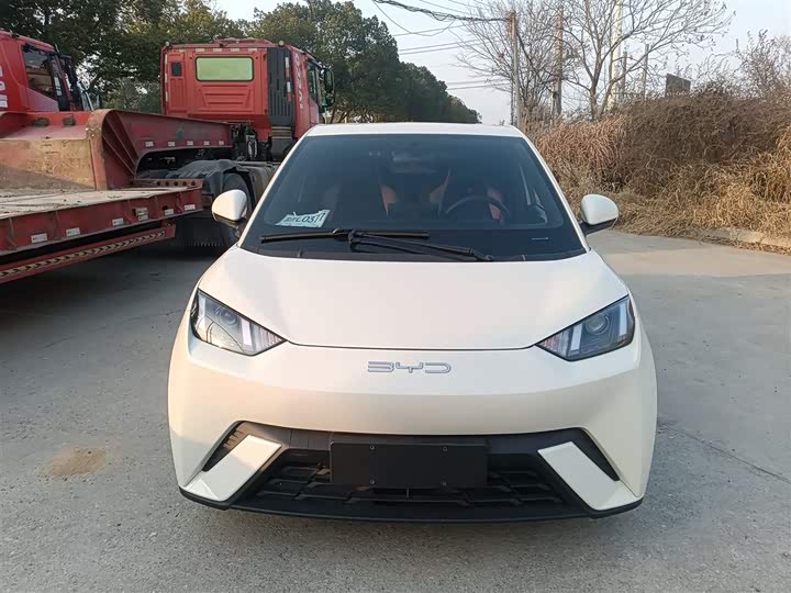 Фото 3 - BYD Seagull