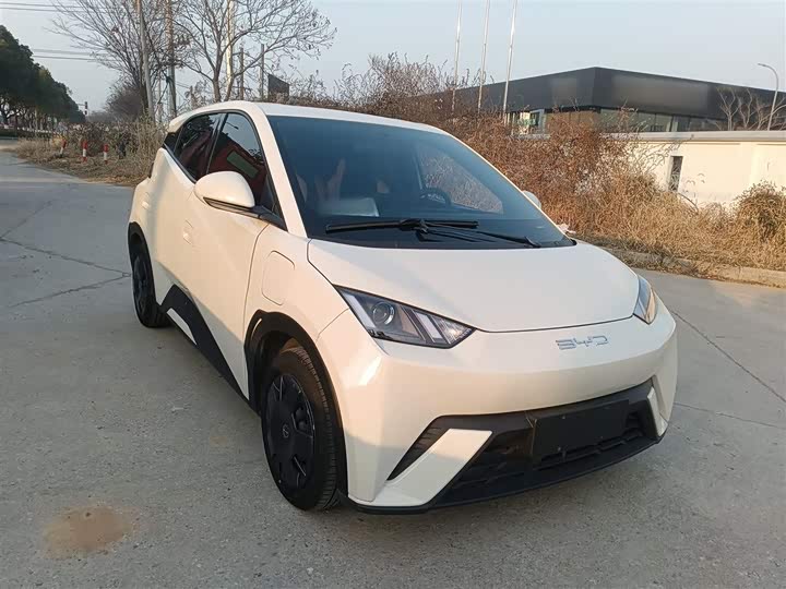 Фото 4 - BYD Seagull