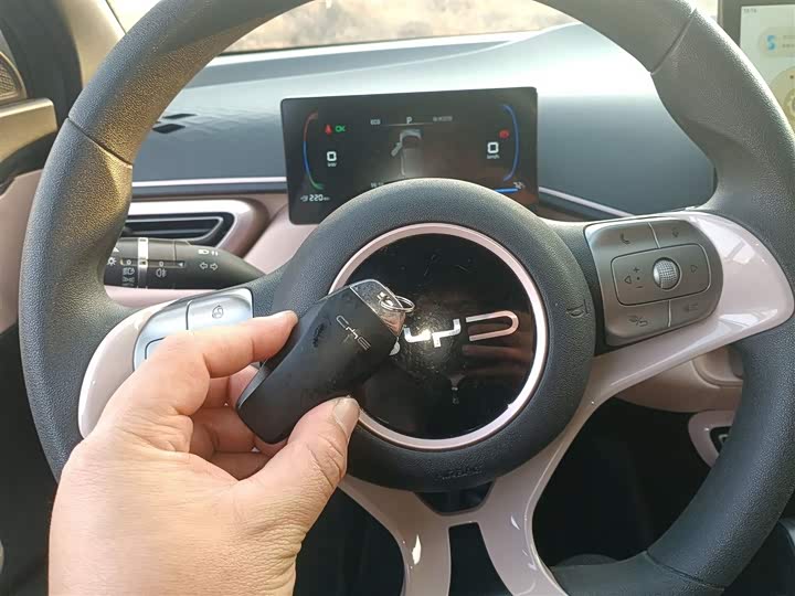 Фото 9 - BYD Seagull