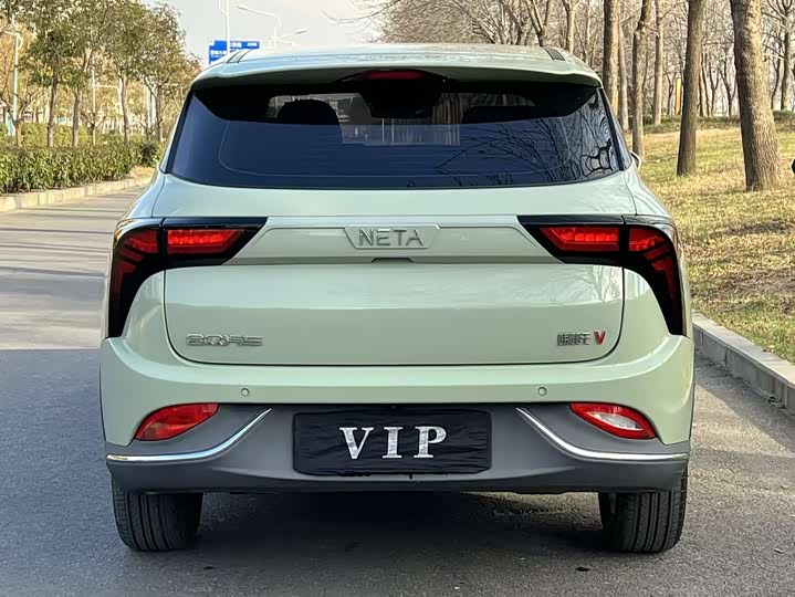 Фото 8 - Hozon V