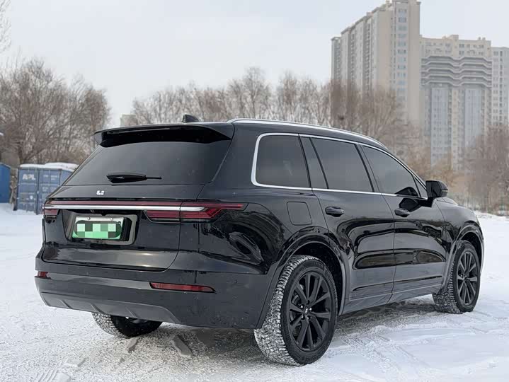 Фото 4 - LiXiang One