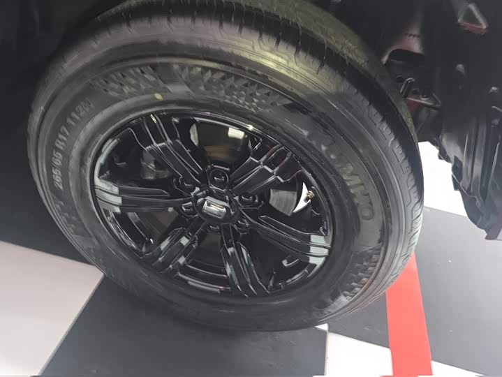 Фото 6 - Tank 300