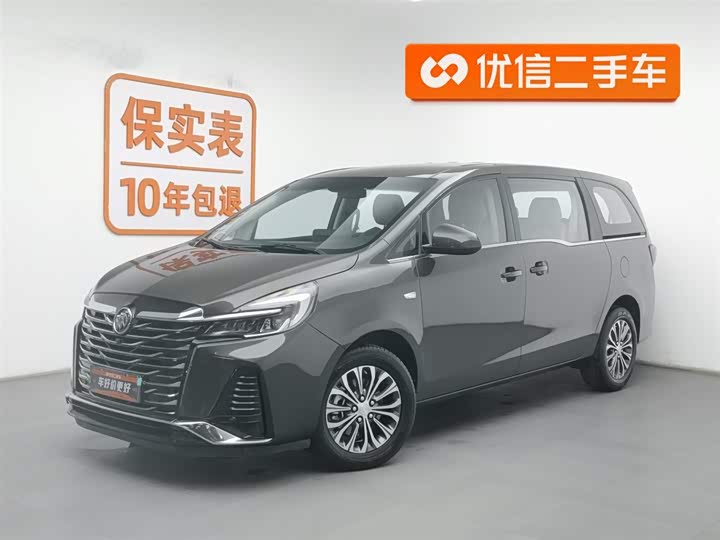 Фото 1 - Buick GL8 ES