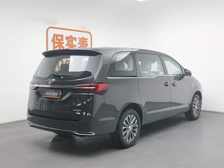 Фото 2 - Buick GL8 ES