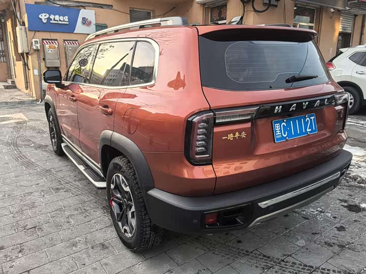 Фото 6 - Haval Dargo
