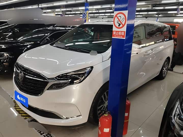 Фото 2 - Buick GL8 ES