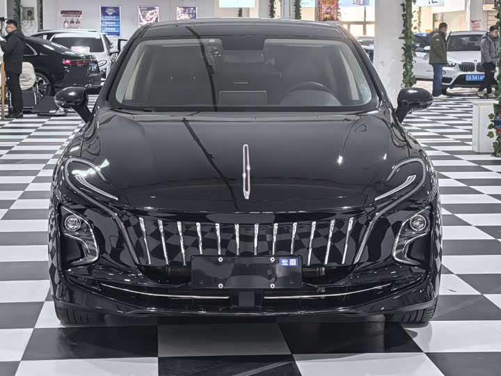 Фото 2 - Hongqi E-QM5