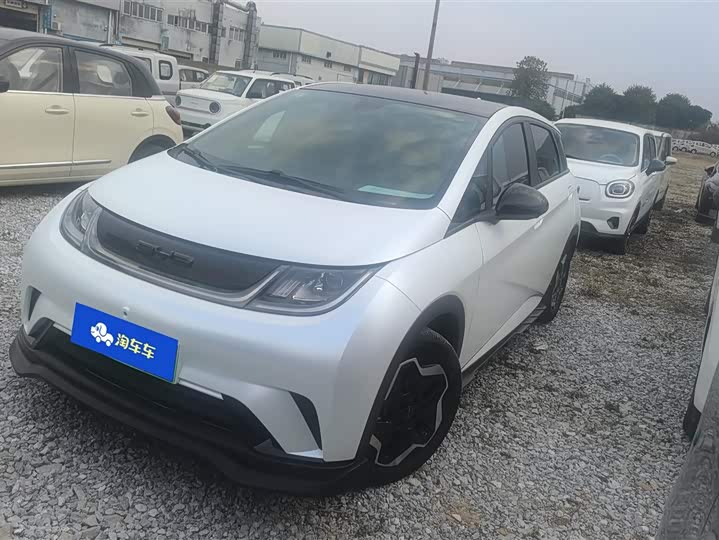 Фото 1 - BYD Dolphin