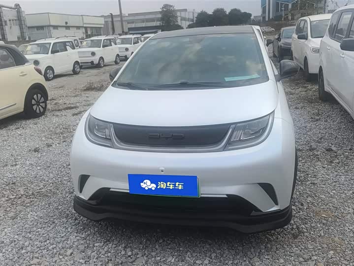 Фото 2 - BYD Dolphin