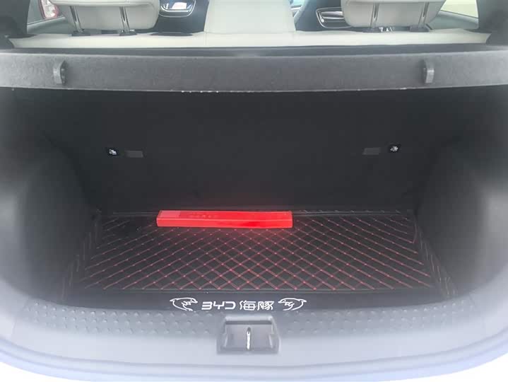 Фото 4 - BYD Dolphin