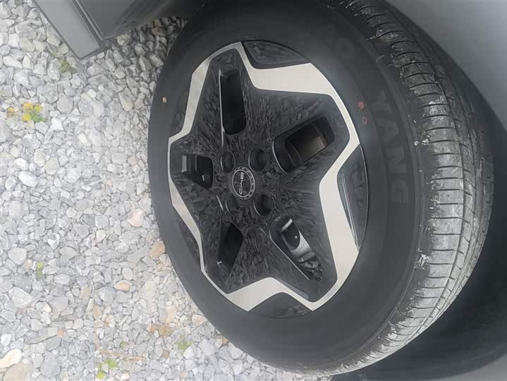 Фото 6 - BYD Dolphin