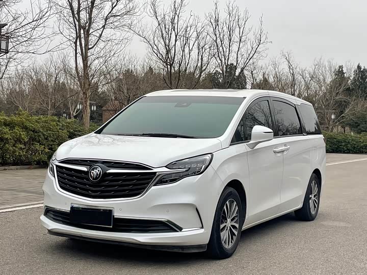 Фото 1 - Buick GL8 ES