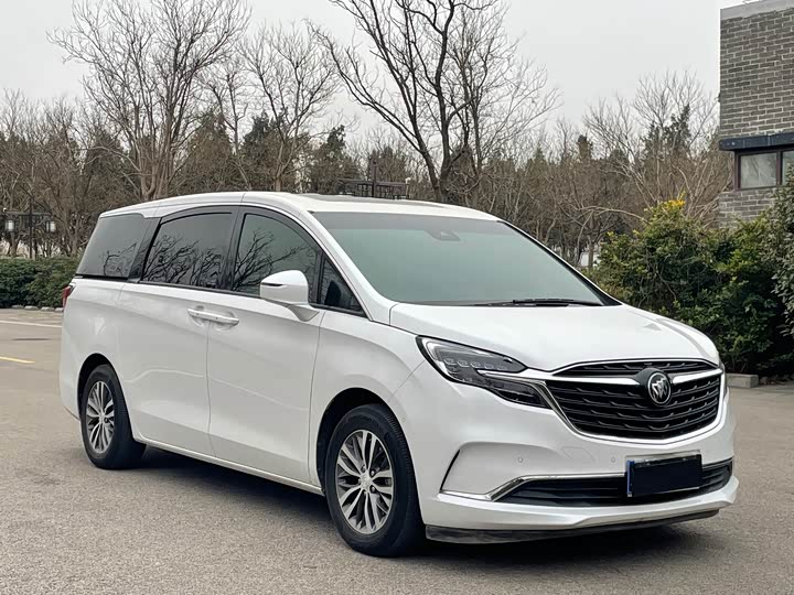 Фото 3 - Buick GL8 ES