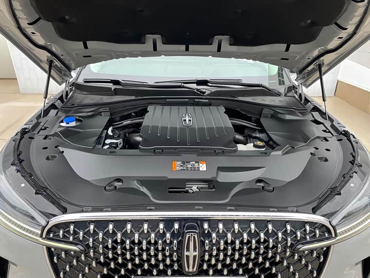 Фото 8 - Lincoln Aviator