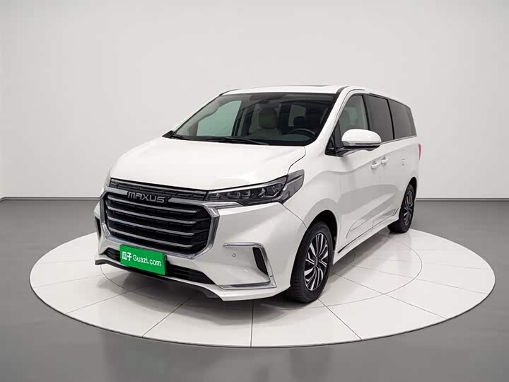 Фото 2 - Maxus G20