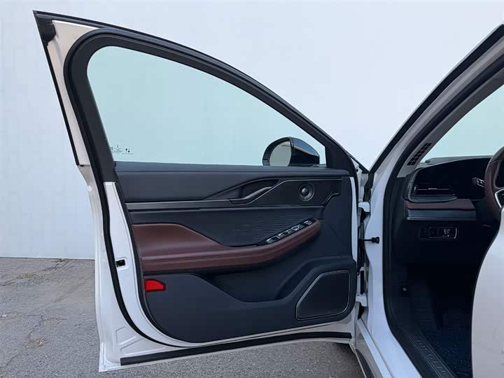 Фото 8 - Lincoln Z (Zephyr)