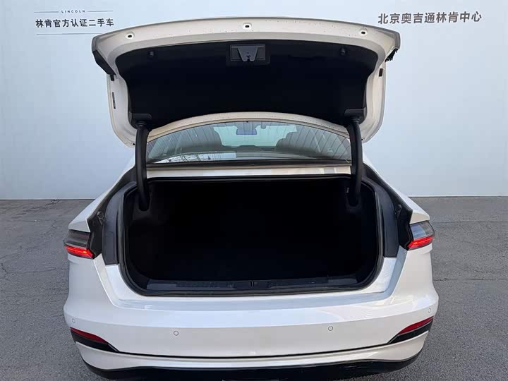 Фото 9 - Lincoln Z (Zephyr)