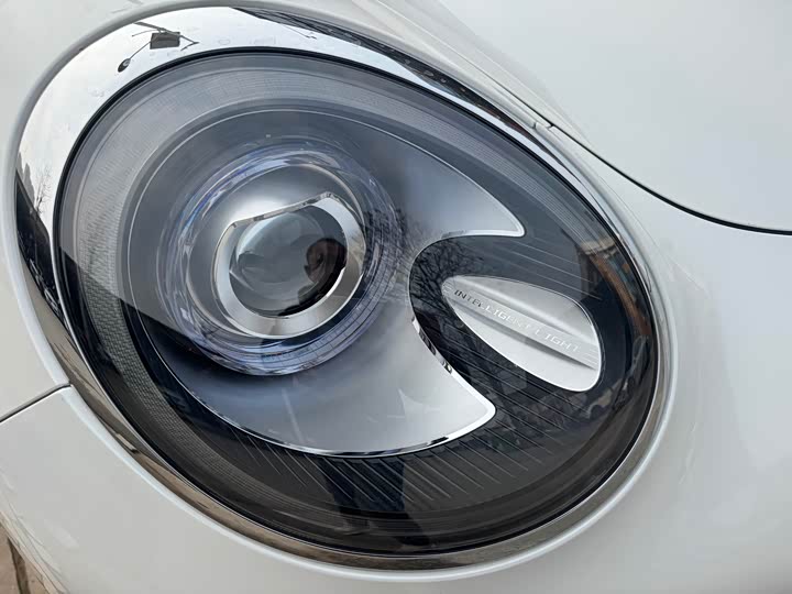 Фото 4 - Ora Good Cat (03)