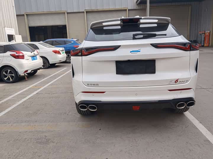 Фото 7 - Changan Oshan Z6