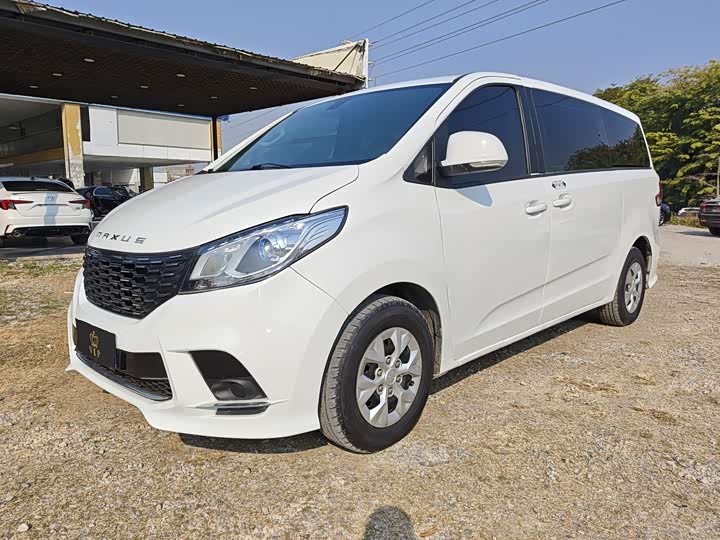 Фото 1 - Maxus G10