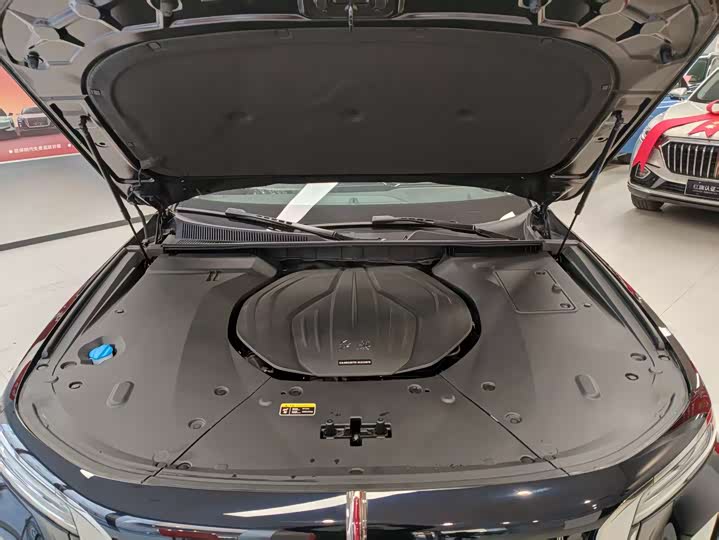 Фото 6 - Hongqi H9