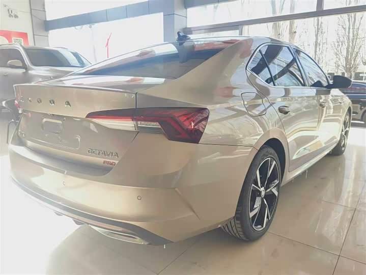 Фото 6 - Skoda Octavia Pro