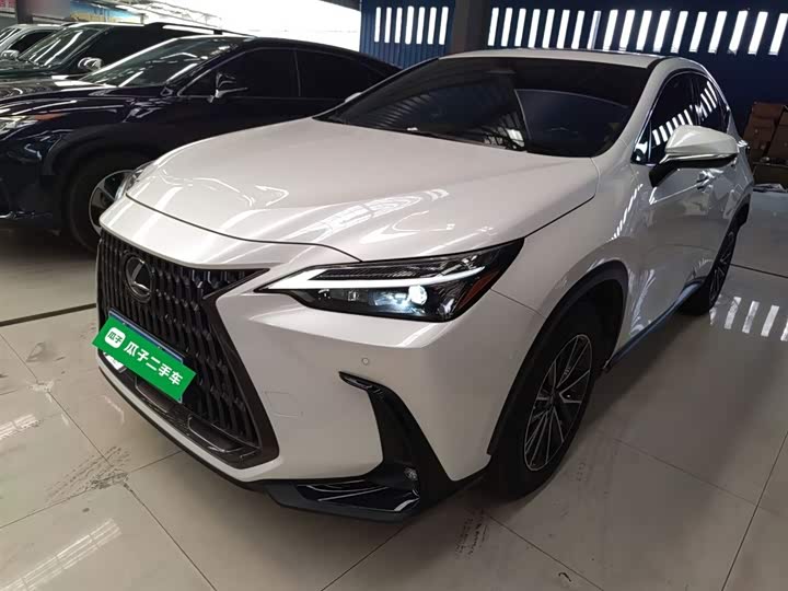 Фото 2 - Lexus NX