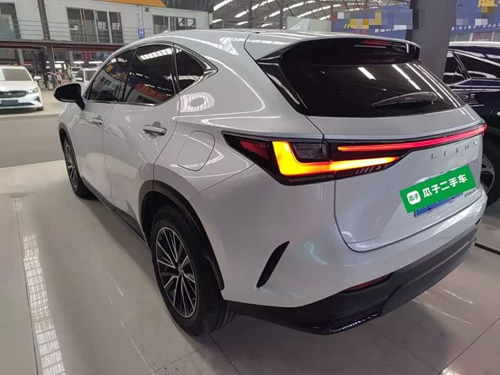 Фото 5 - Lexus NX