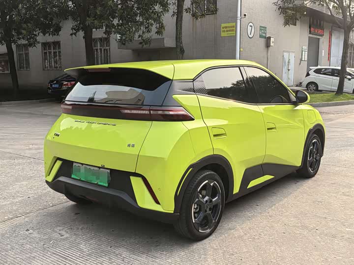 Фото 4 - BYD Seagull