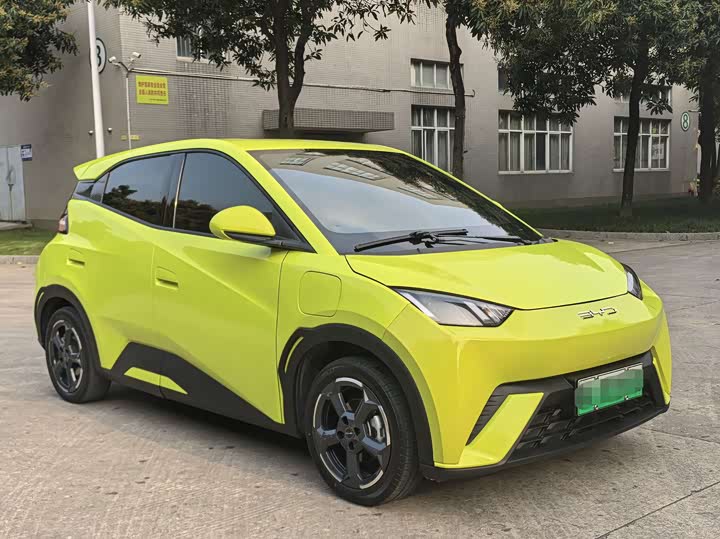 Фото 9 - BYD Seagull