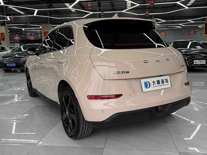 Фото 6 - Ora Good Cat (03)