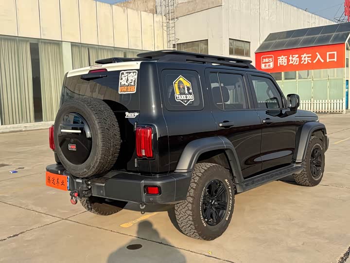 Фото 9 - Tank 300