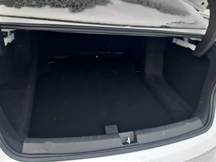 Фото 4 - BYD Qin Plus