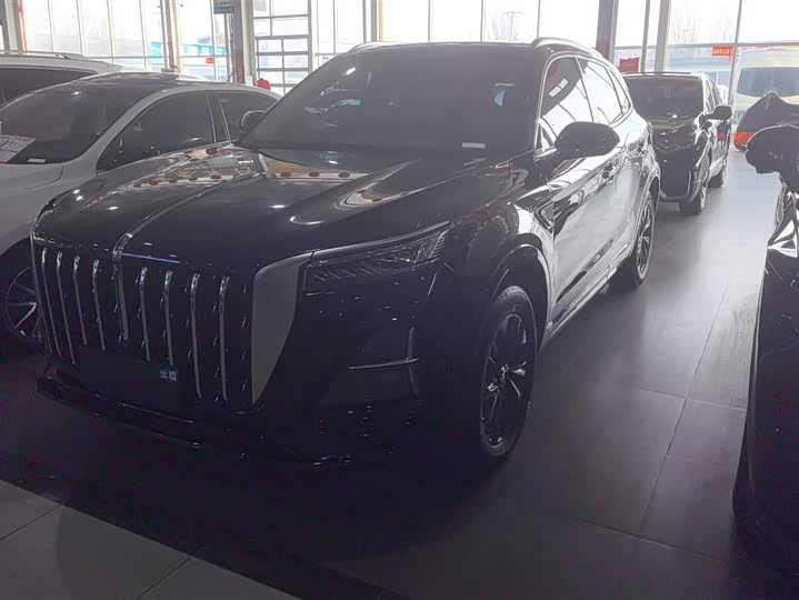 Фото 1 - Hongqi HS5