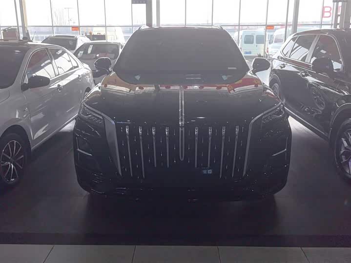 Фото 2 - Hongqi HS5