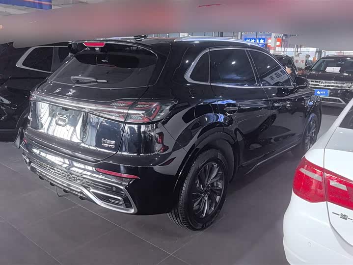 Фото 3 - Hongqi HS5