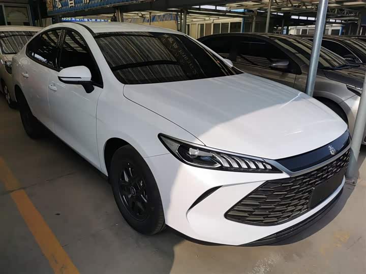 Фото 4 - BYD Qin Plus