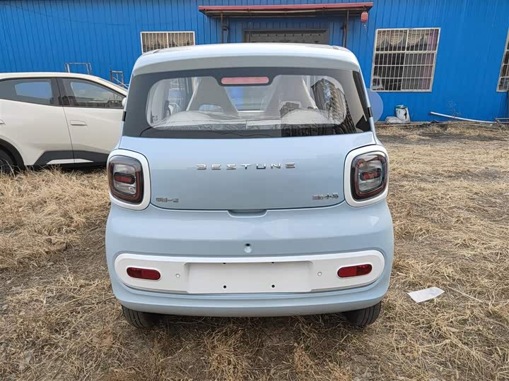 Фото 6 - Bestune Pony