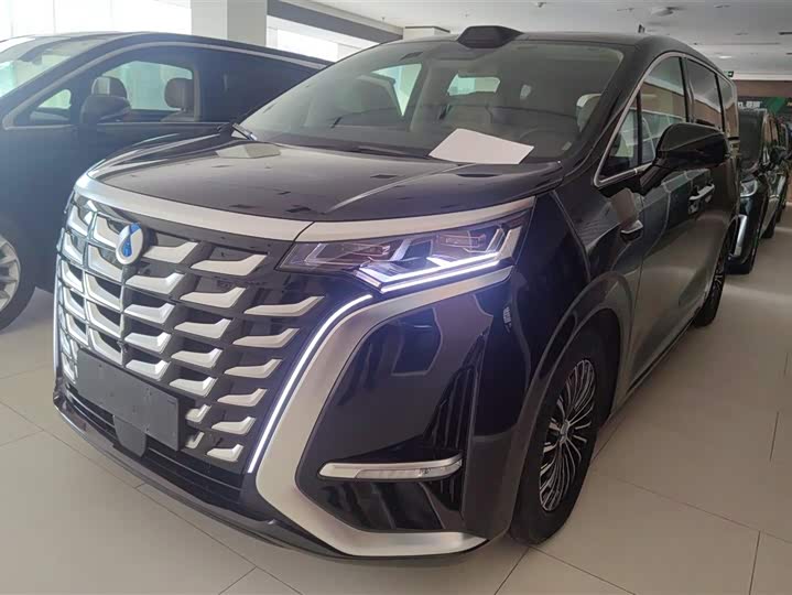 Фото 1 - Denza D9