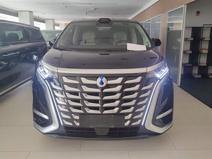 Фото 2 - Denza D9