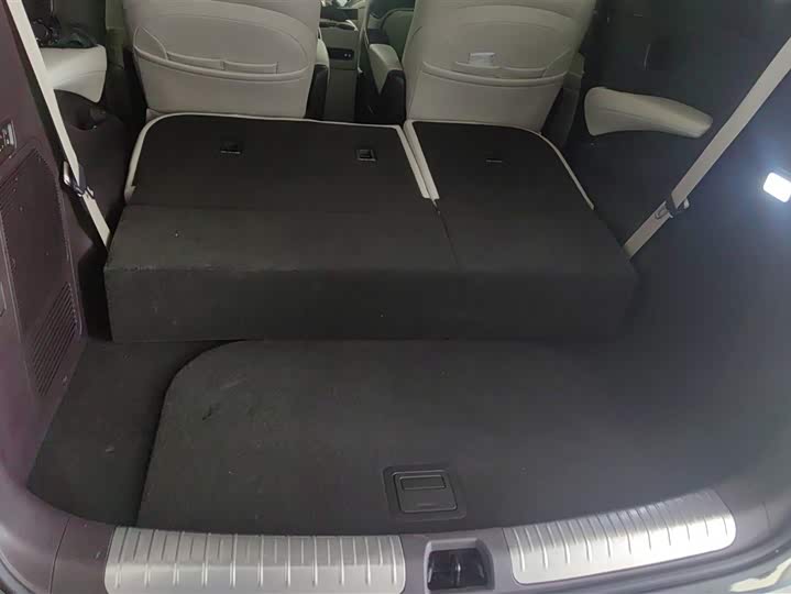 Фото 4 - Denza D9