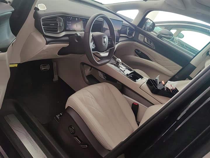 Фото 9 - Denza D9