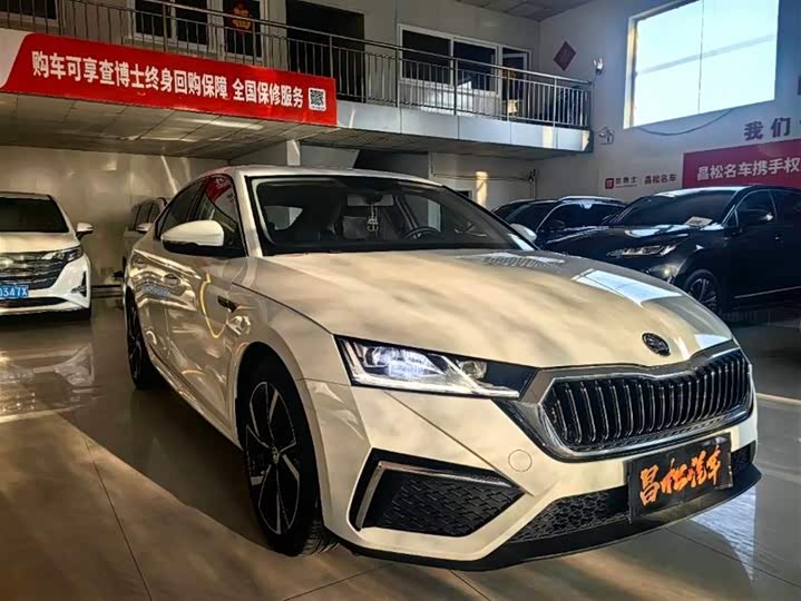 Фото 3 - Skoda Octavia Pro