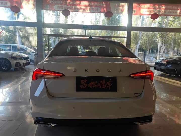 Фото 5 - Skoda Octavia Pro