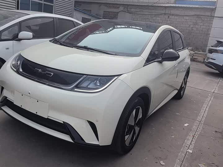 Фото 1 - BYD Dolphin