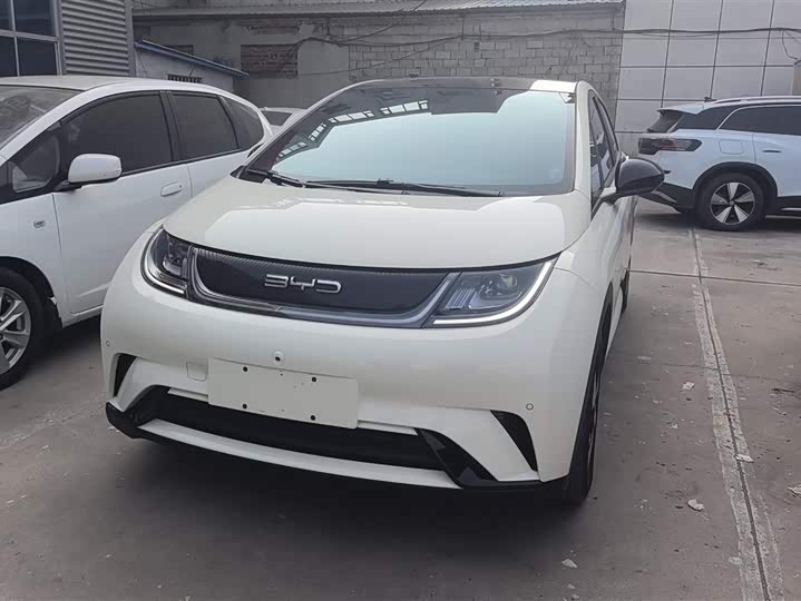 Фото 2 - BYD Dolphin