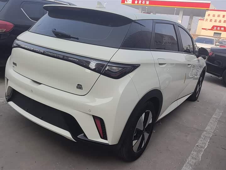 Фото 3 - BYD Dolphin