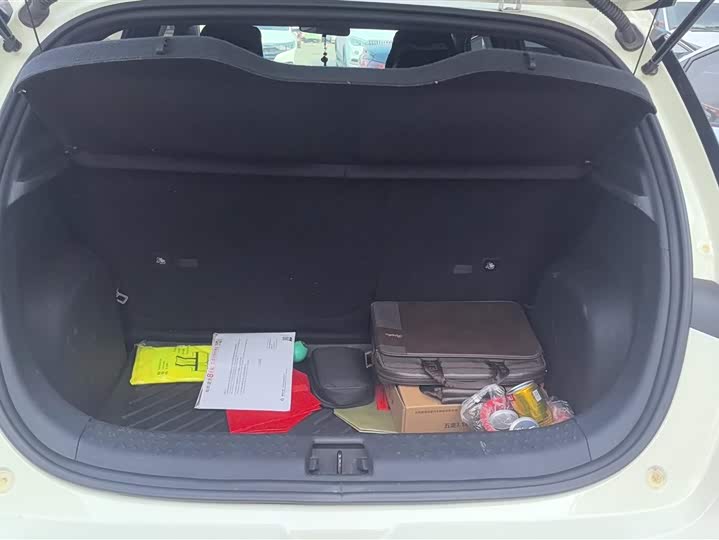 Фото 4 - BYD Dolphin