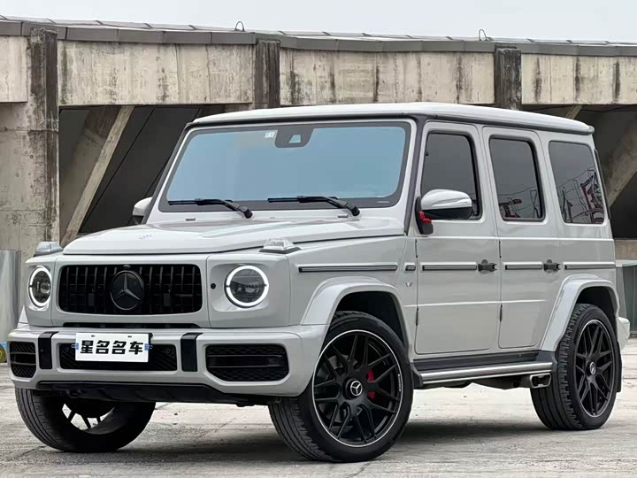 Фото 1 - Mercedes-Benz G-Class